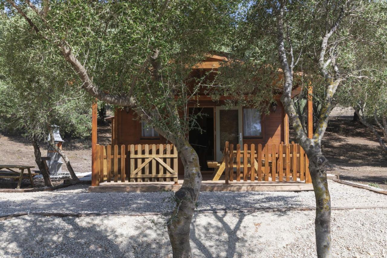 Finca Florida Benalup-Casas Viejas Exterior photo
